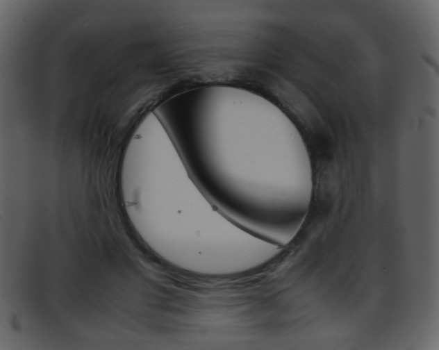 X0000096650501200802050937