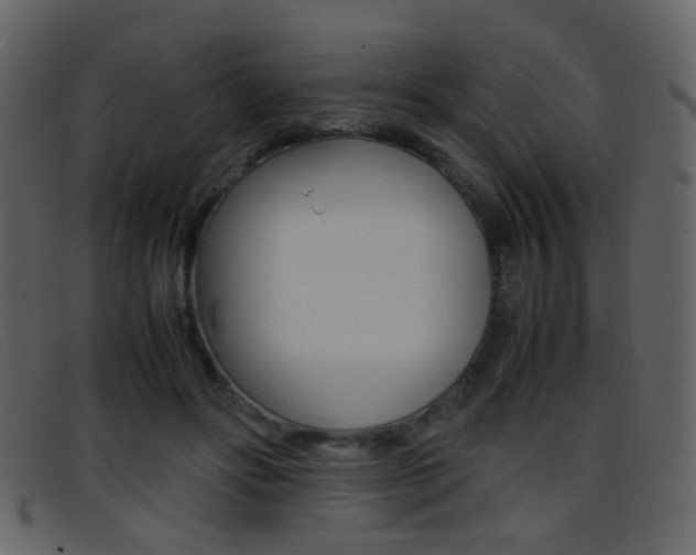X0000096650502200802050937