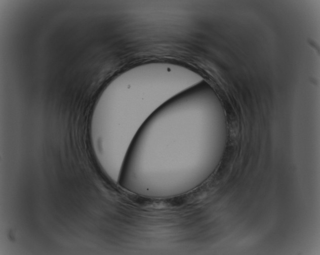 X0000096650503200802050937