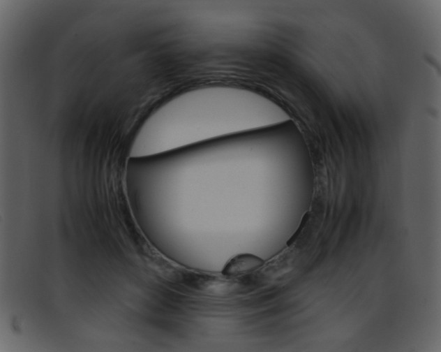 X0000096650504200802050937