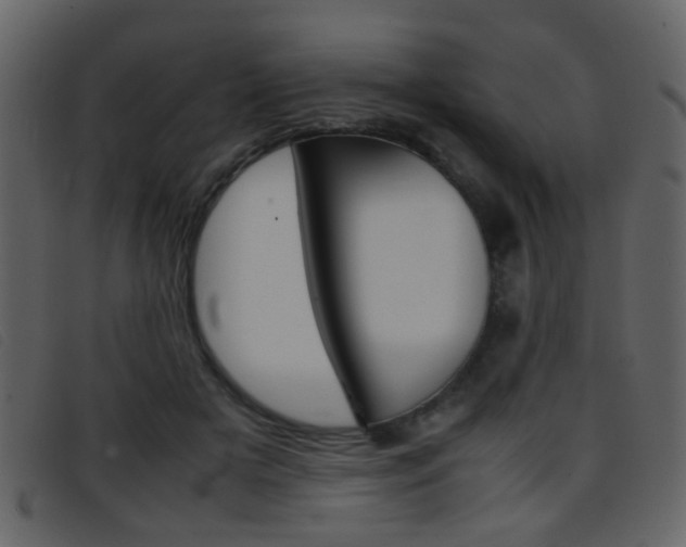 X0000096650505200802050937