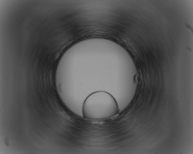 X0000096650508200802050937