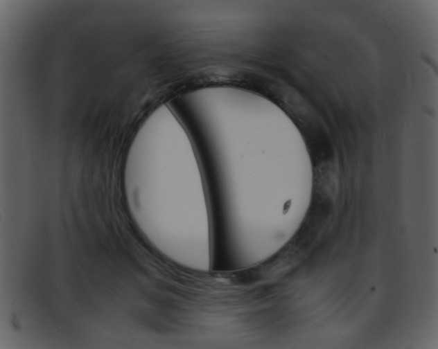 X0000096650509200802050937