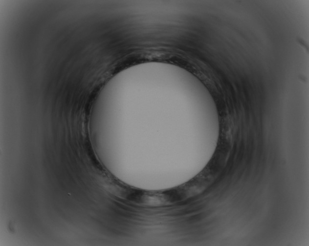 X0000096650510200802050937