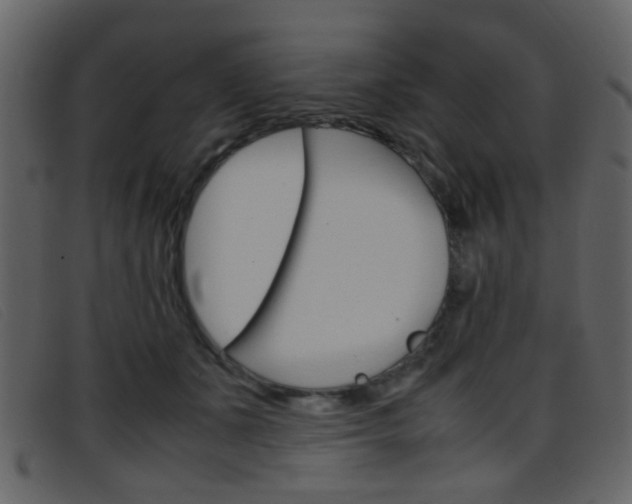 X0000096650511200802050937