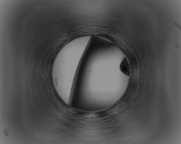 X0000096650513200802050937