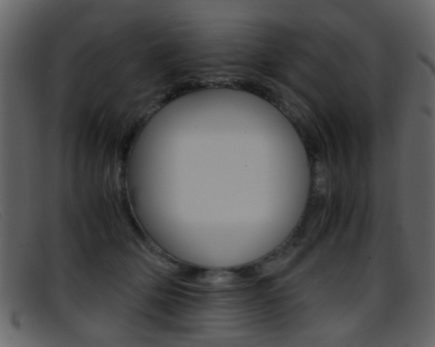 X0000096650514200802050937