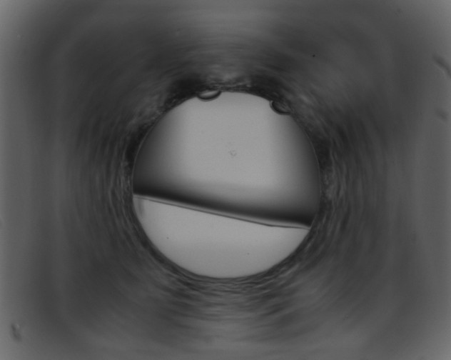 X0000096650515200802050937