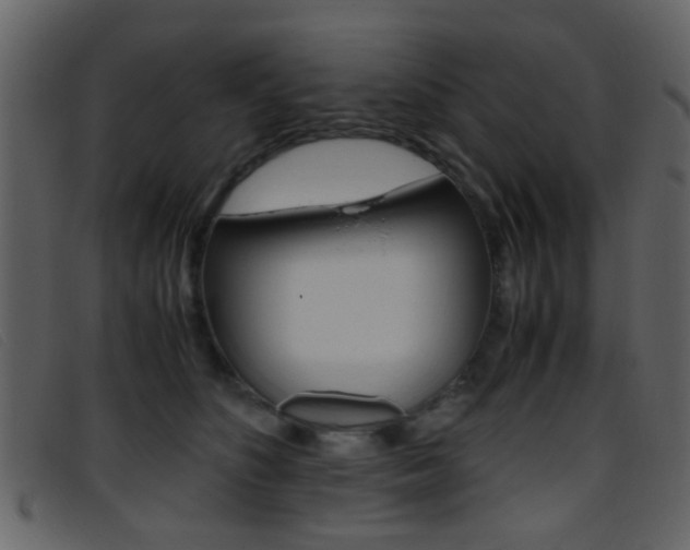 X0000096650516200802050937