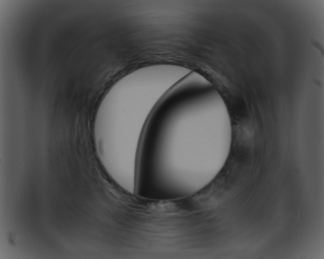 X0000096650517200802050937