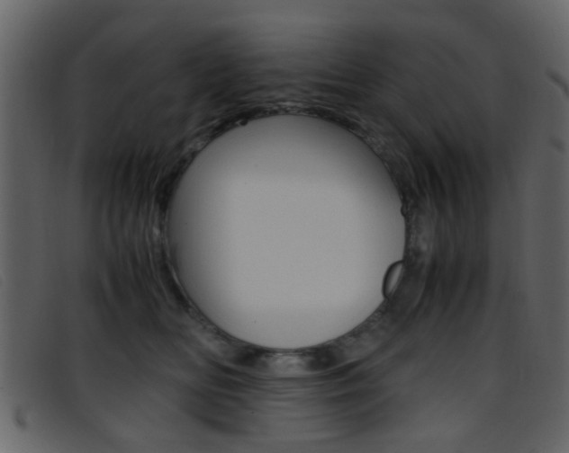 X0000096650518200802050937