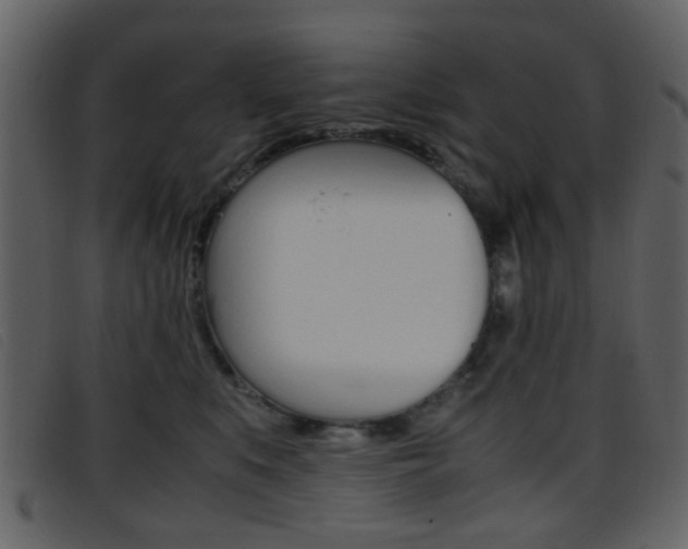 X0000096650519200802050937