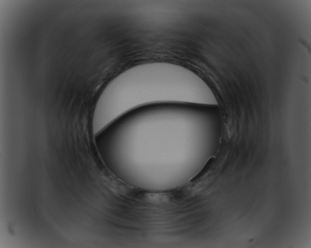 X0000096650520200802050937
