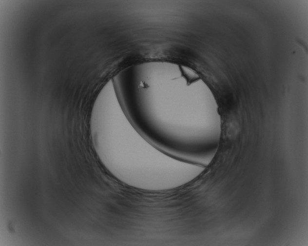 X0000096650521200802050937