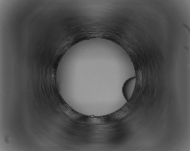 X0000096650522200802050937