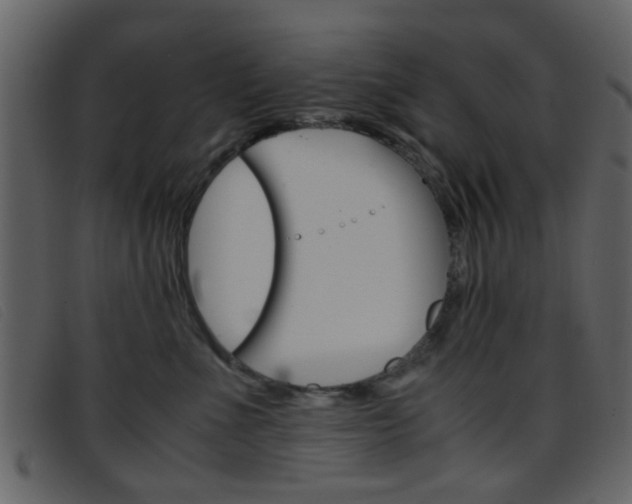 X0000096650523200802050937