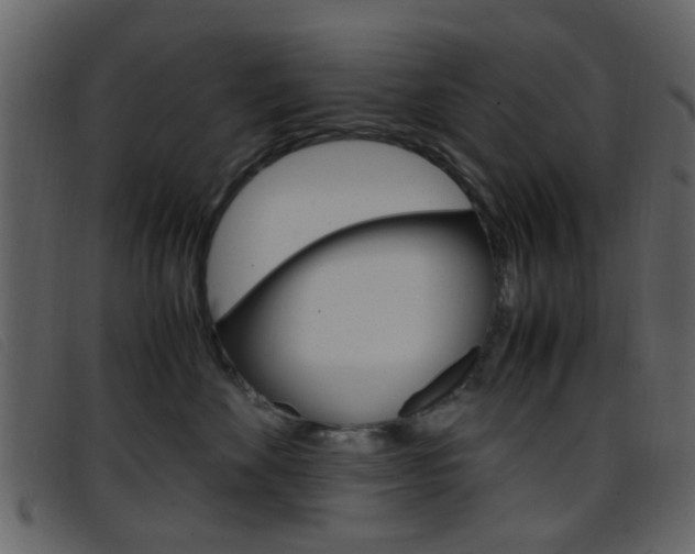 X0000096650524200802050937