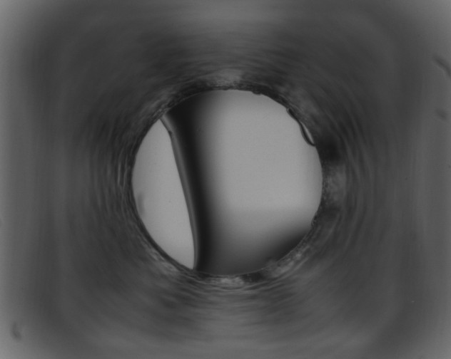 X0000096650525200802050937