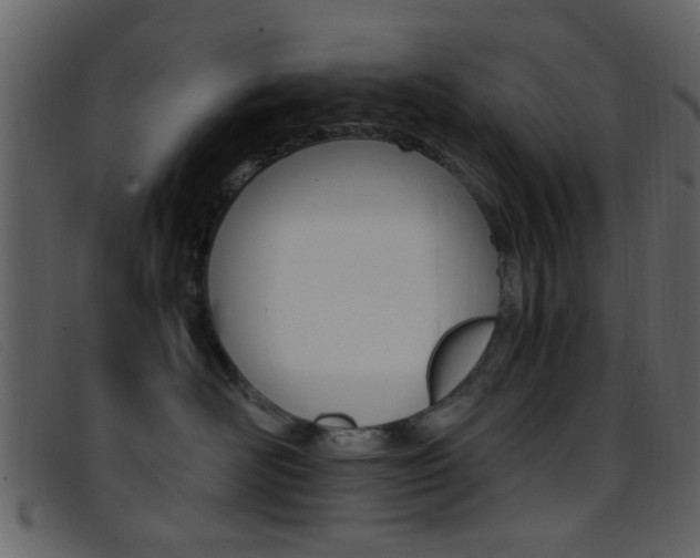 X0000096650526200802050937