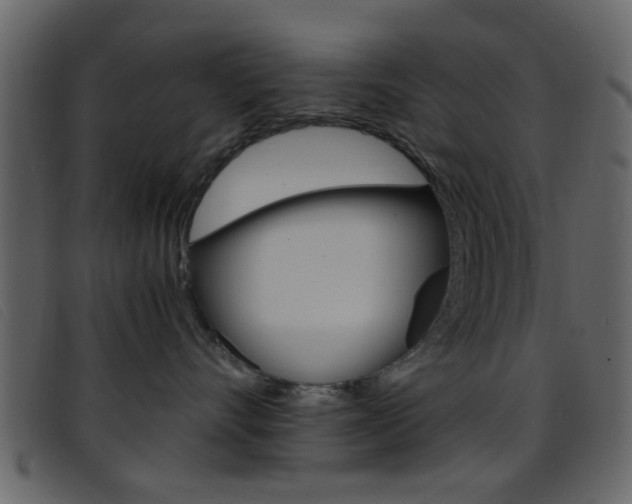 X0000096650528200802050937