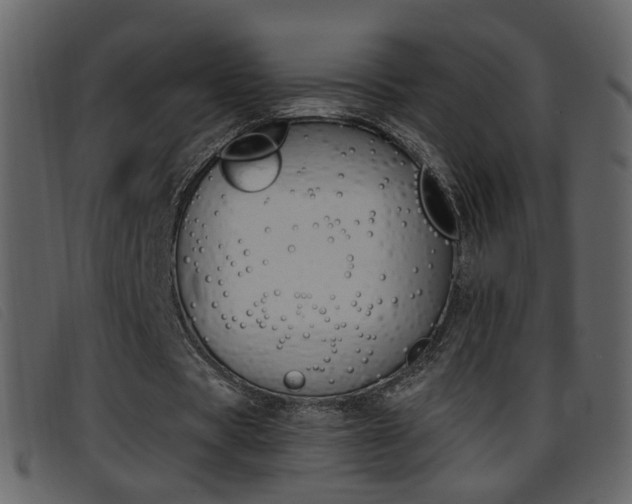 X0000096650529200802050936