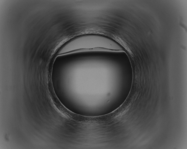X0000096650530200802050936