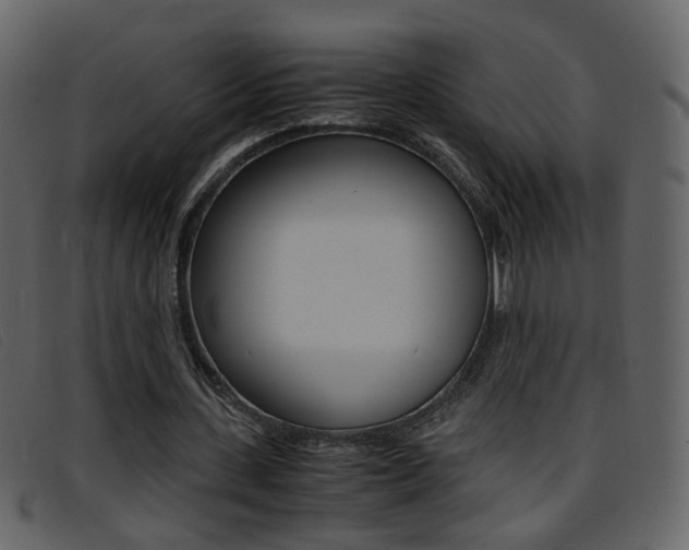 X0000096650531200802050936