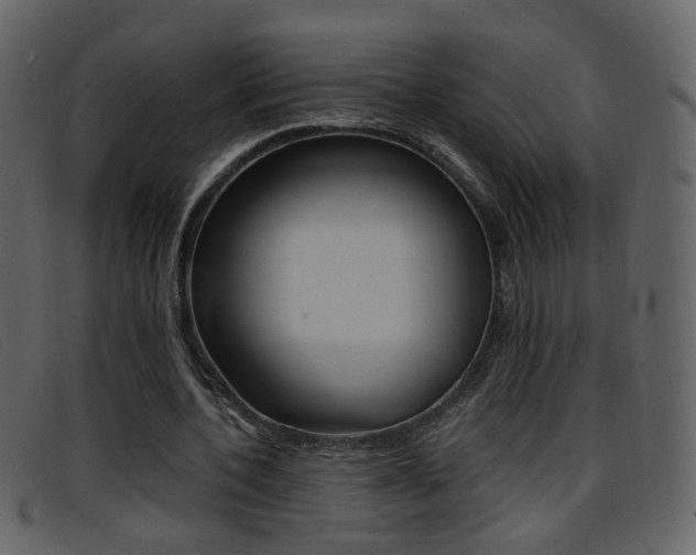 X0000096650532200802050936
