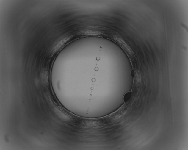 X0000096650533200802050936