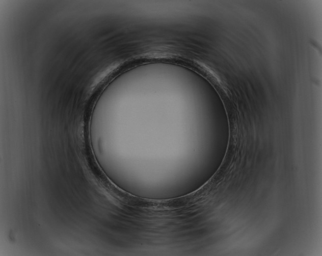 X0000096650535200802050936