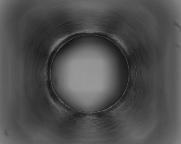X0000096650536200802050936