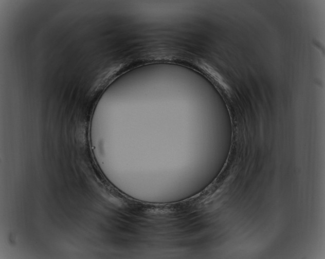 X0000096650537200802050936
