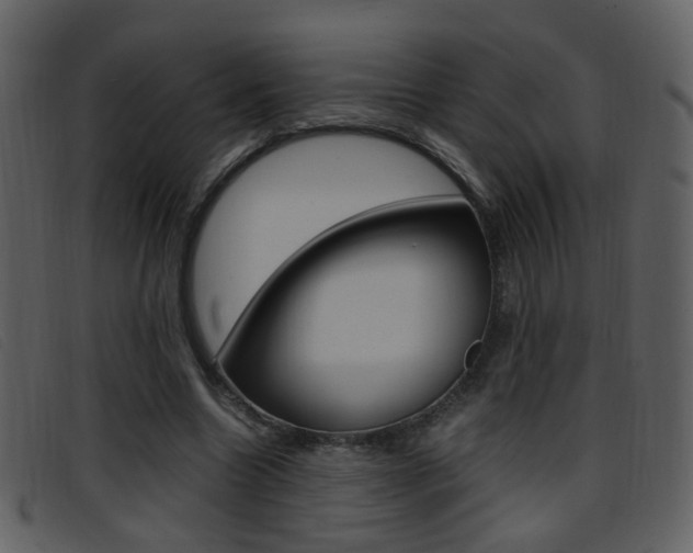 X0000096650538200802050936