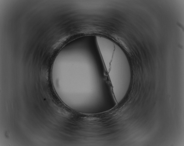 X0000096650539200802050936