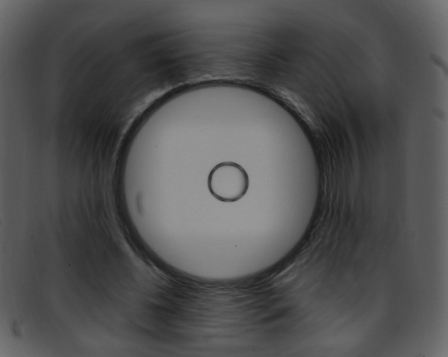 X0000096650540200802050936