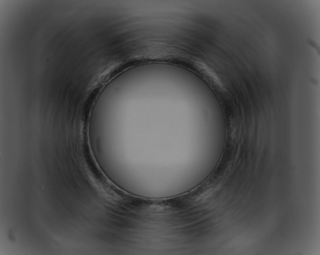 X0000096650542200802050936