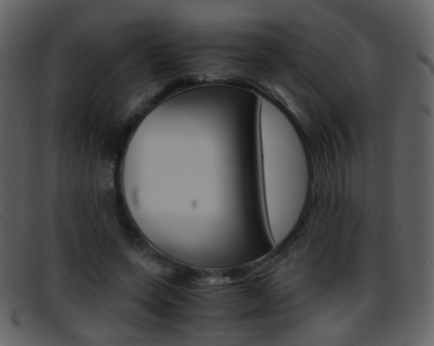 X0000096650543200802050936