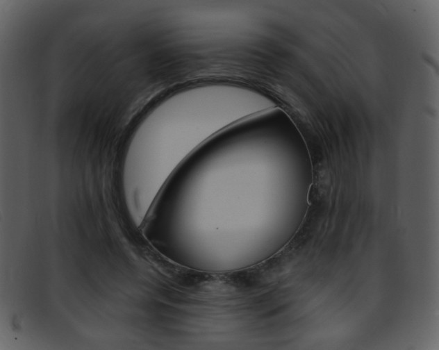 X0000096650544200802050936