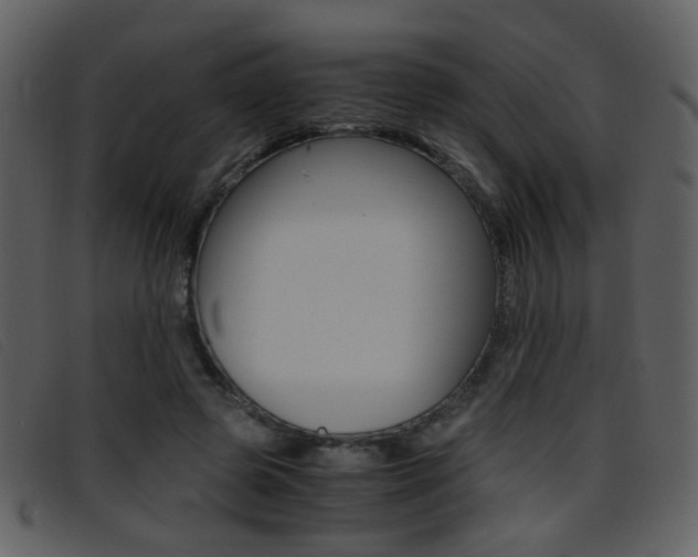 X0000096650545200802050936