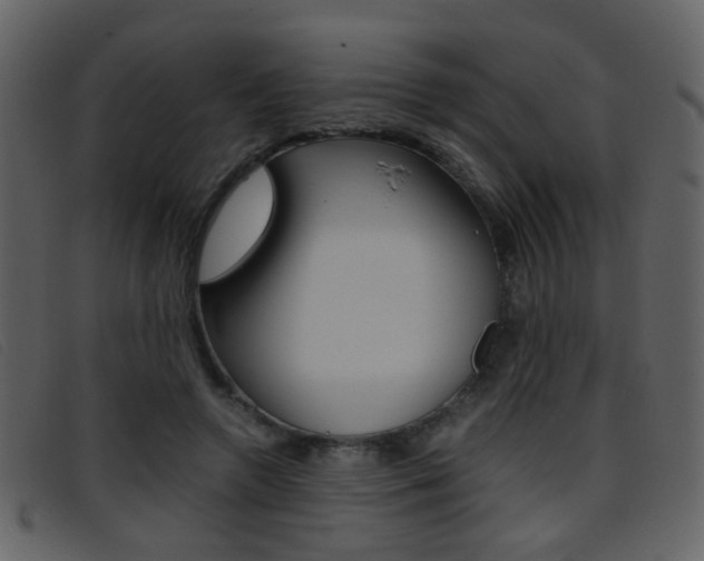 X0000096650546200802050936