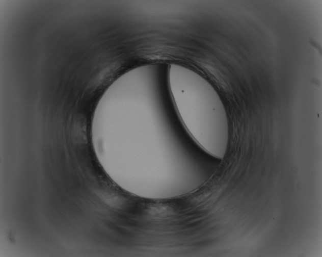 X0000096650547200802050936
