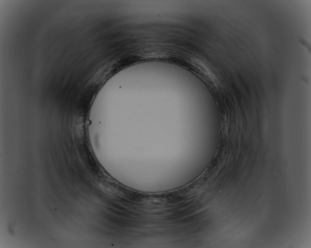 X0000096650549200802050936