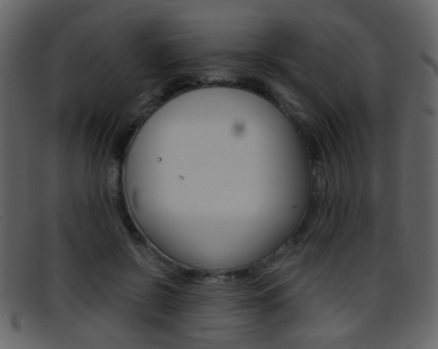 X0000096650550200802050936