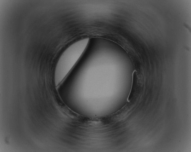 X0000096650552200802050936