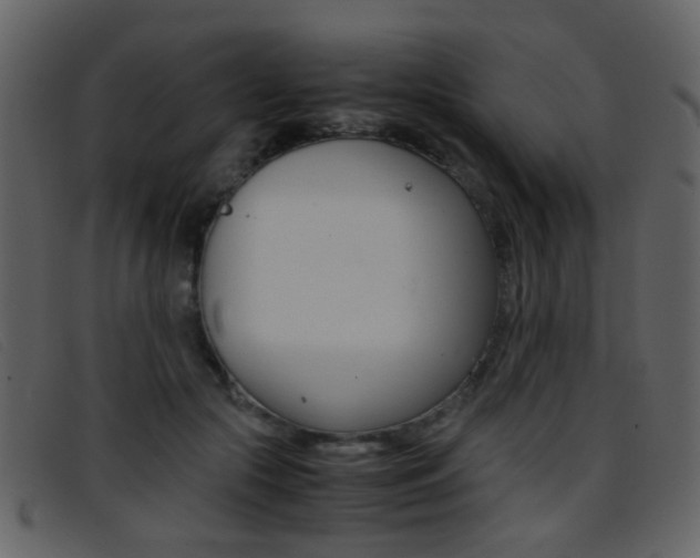 X0000096650553200802050936
