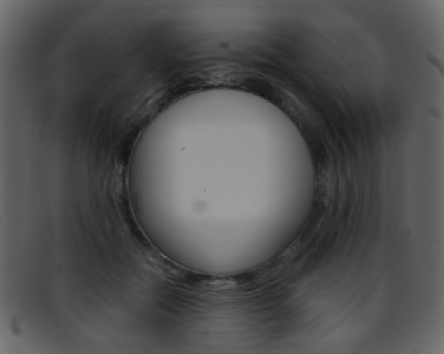 X0000096650554200802050936