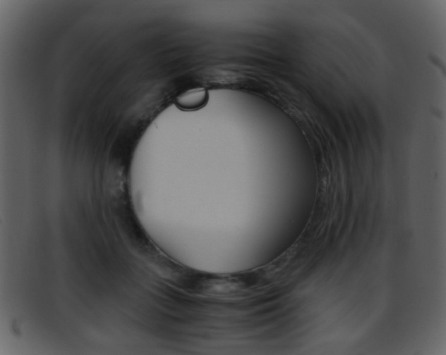 X0000096650555200802050936
