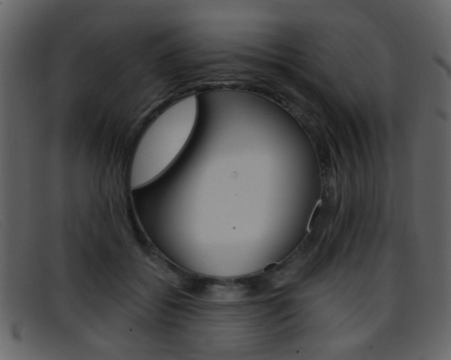 X0000096650556200802050936