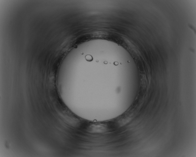 X0000096650557200802050936
