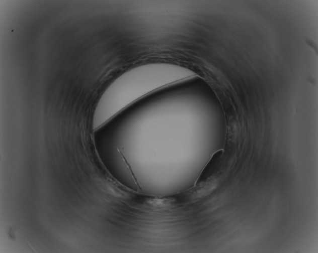 X0000096650558200802050936